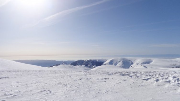 Снимка: Dnes.bg