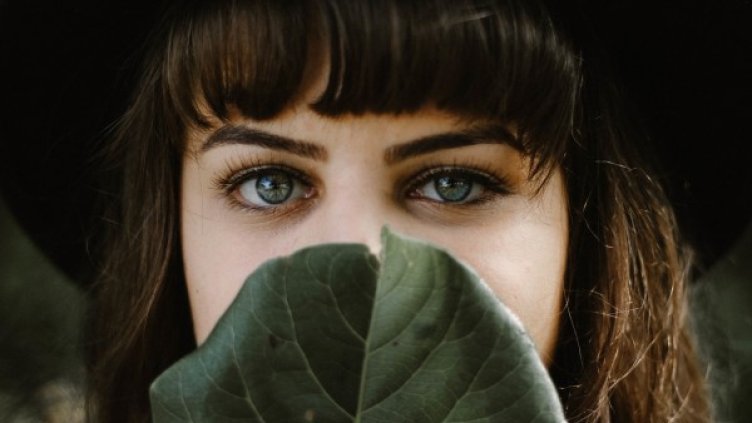 Снимка: Pixabay