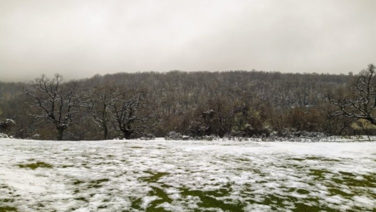 Снимка: Павел Гълъбов/dnes.bg