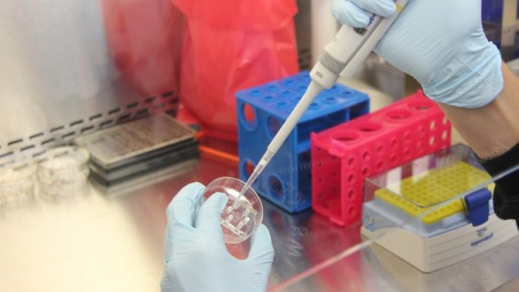 Снимка: Pixabay