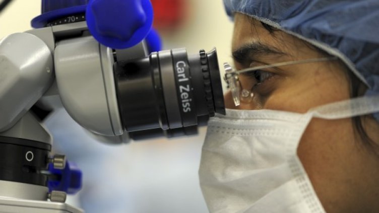 Източник: Pixabay.com