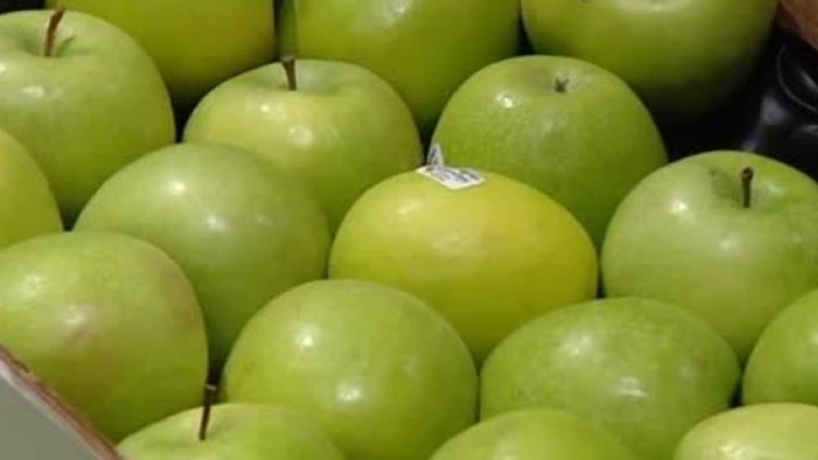 Снимка: Bulgaria ON AIR