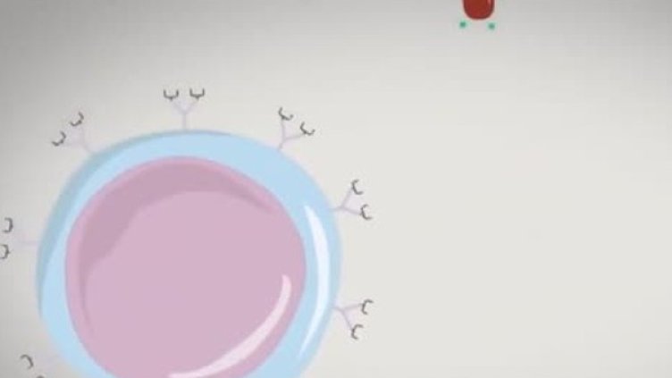 Снимка: Bulgaria ON AIR