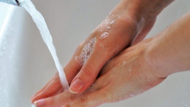 Снимка: Pixabay