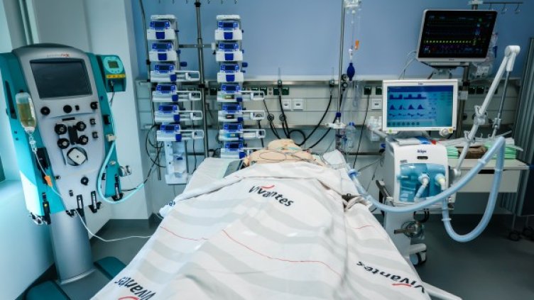 Снимка: архив, БГНЕС