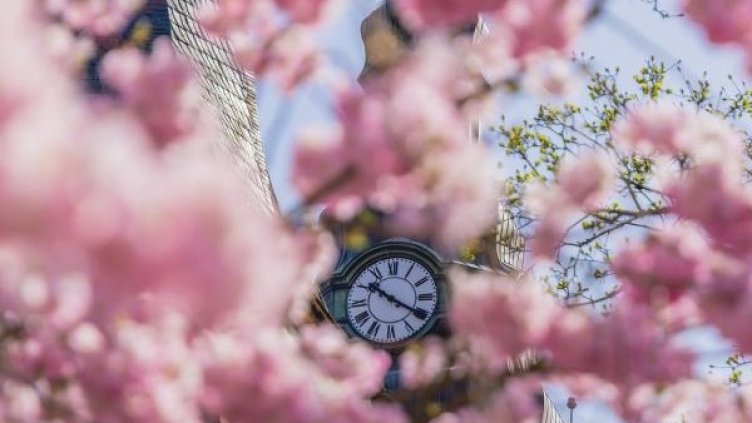 Снимка: Pixabay