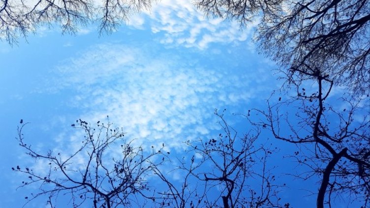 Снимка: архив, БГНЕС