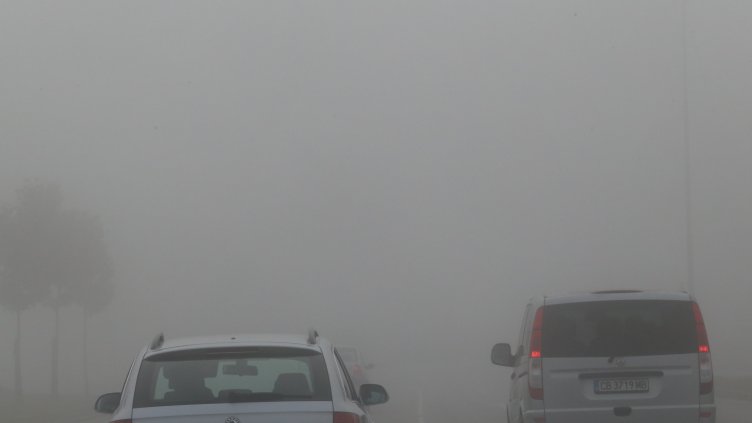 БГНЕС, архив