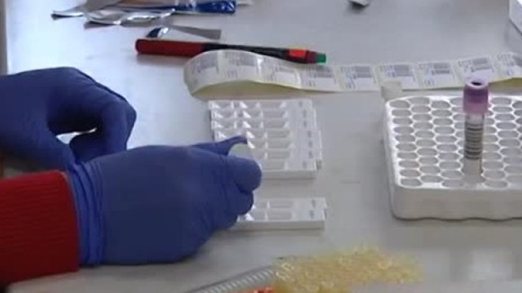 Снимка: Bulgaria ON AIR