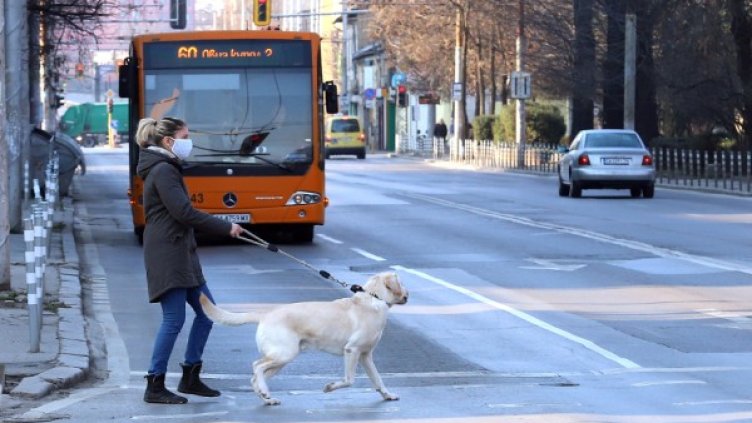 Снимка: архив, БГНЕС
