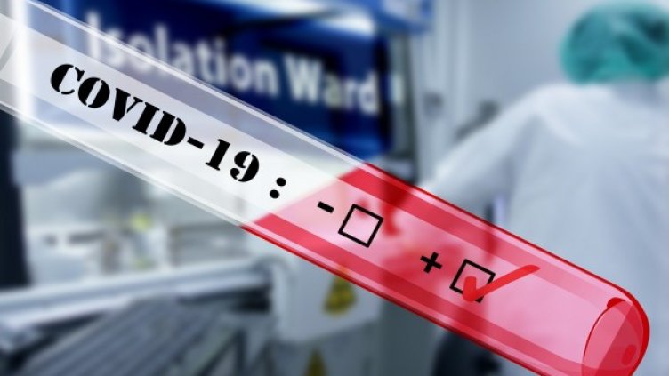 Снимка: Pixabay