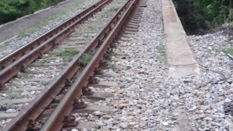 Архив: БГНЕС