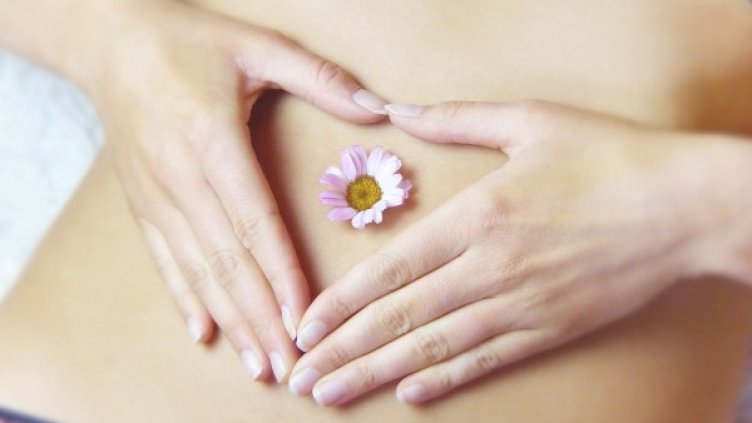 Снимка: Pixabay