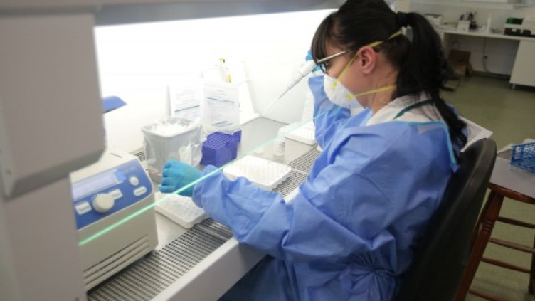 Снимка: Димитър Кьосемарлиев, Dnes.bg