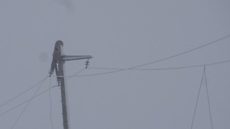 Снимка: архив, БГНЕС