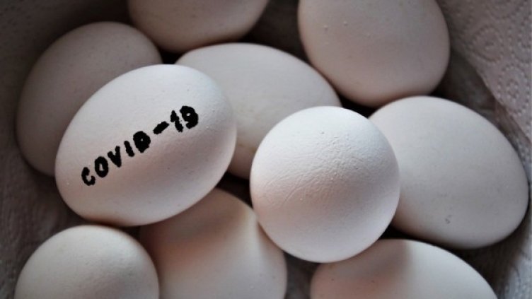 Снимка: Pixabay