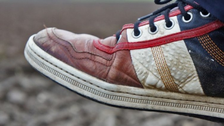 Снимка: Pixabay