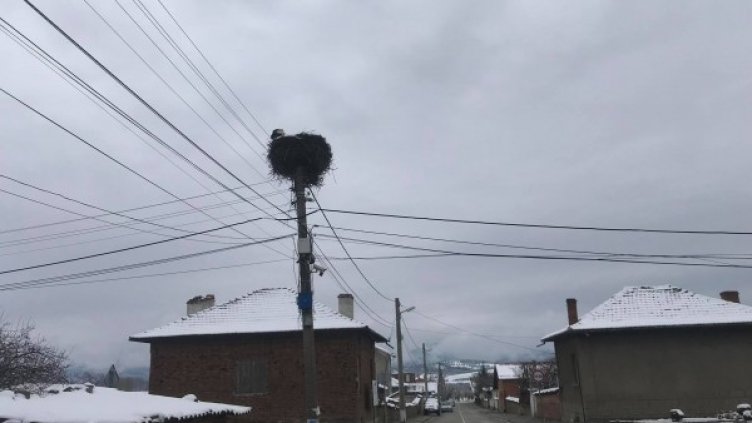 Снимка: архив, БГНЕС