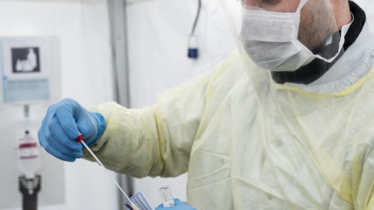 Снимка: БГНЕС