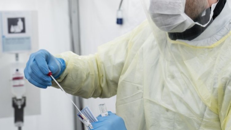 Снимка: БГНЕС