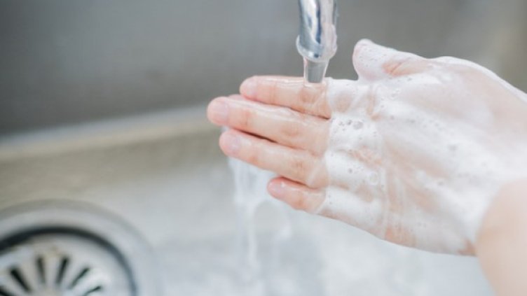 Снимка: Istock