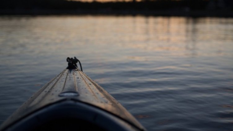 Снимка: Pixabay