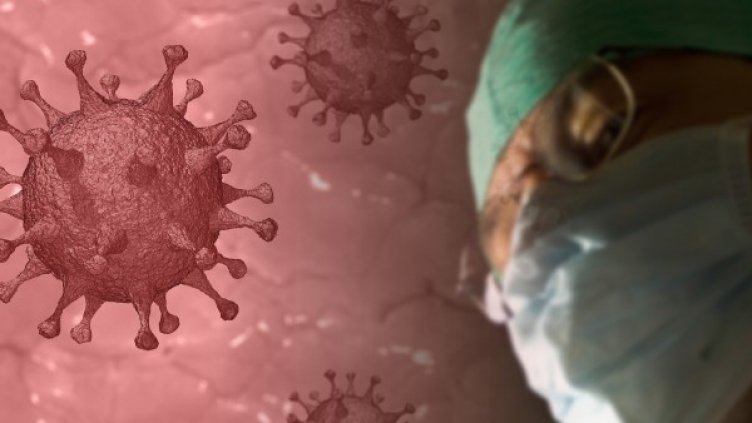 Снимка: Pixabay