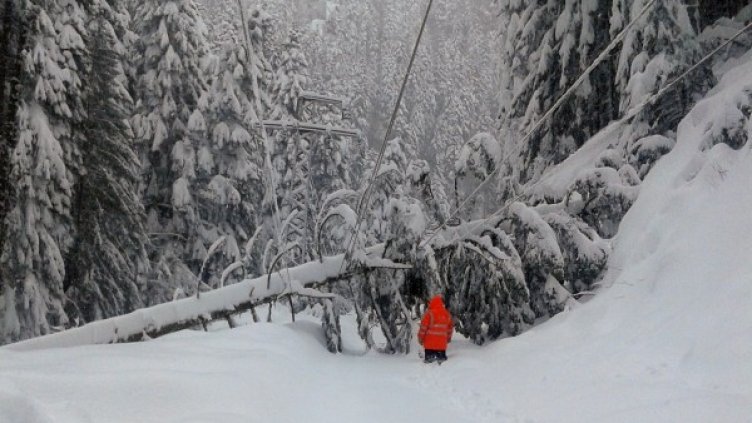 Архив: БГНЕС