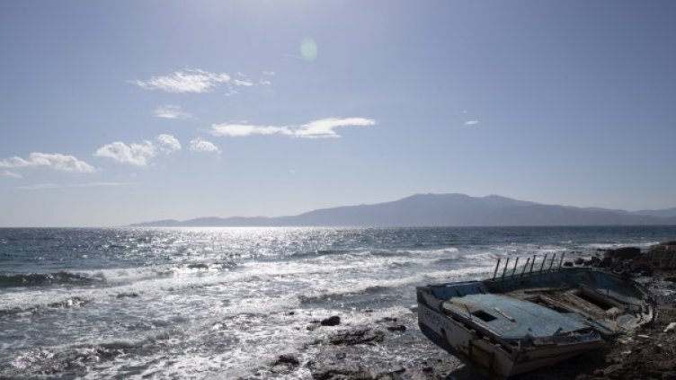 Снимка: архив, БГНЕС