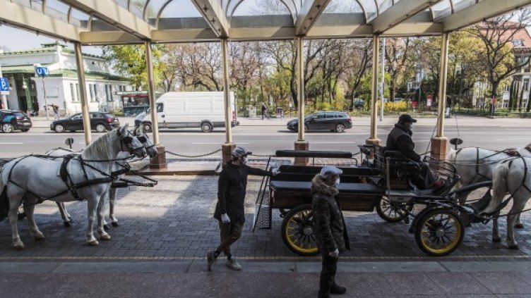 Снимка: архив, БГНЕС