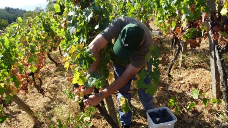 Снимка: БГНЕС, архив