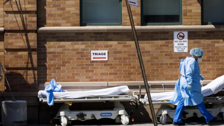 Снимка: архив, БГНЕС