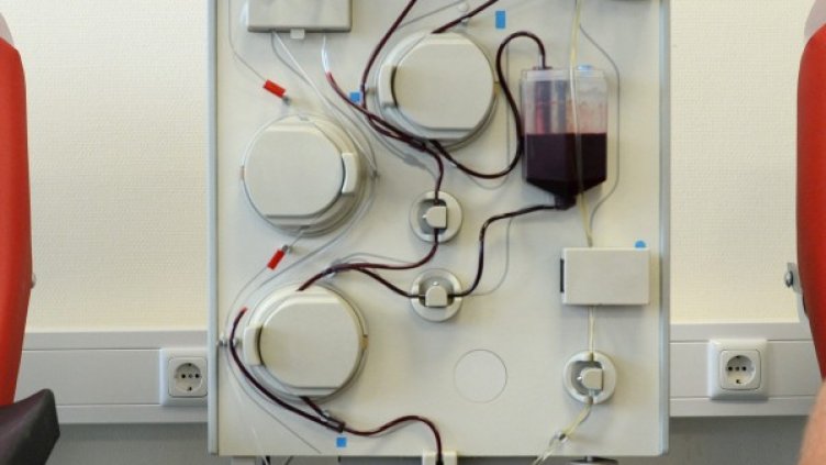 Снимка: архив, БГНЕС