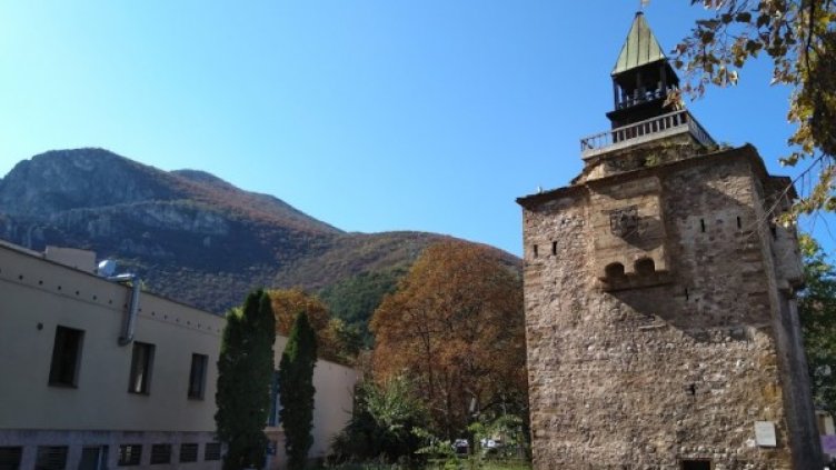 Снимка: Павел Гълъбов/dnes.bg