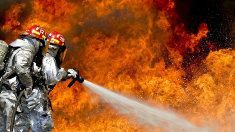 Снимка: Pixabay