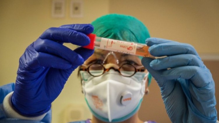 Снимка: БГНЕС