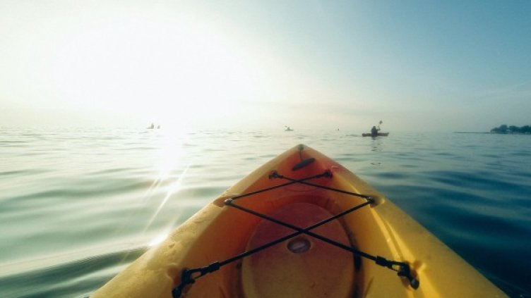 Снимка: Pixabay