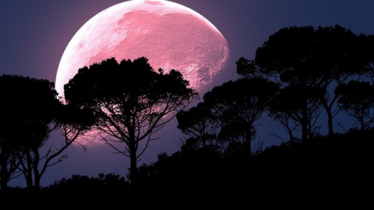 Снимка: Pixabay