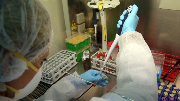 Снимка: архив, БГНЕС