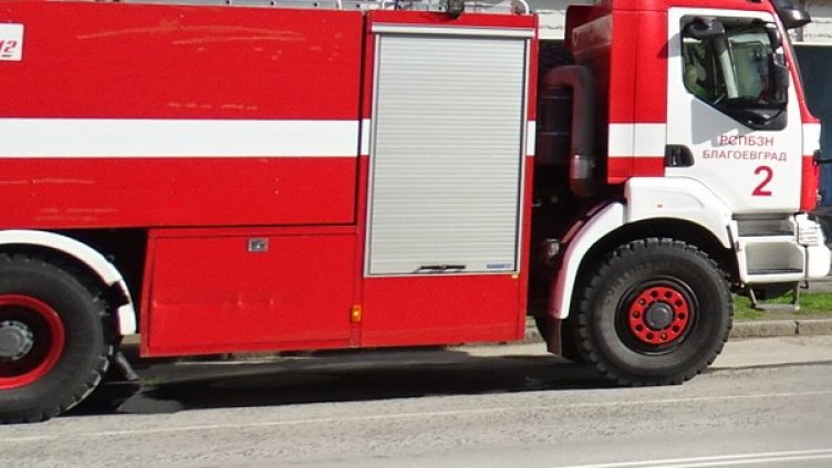 Снимка: БГНЕС