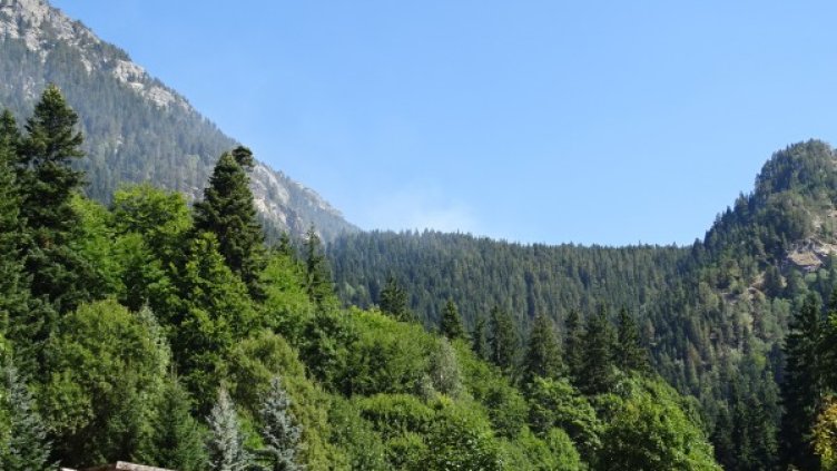 Снимка: БГНЕС