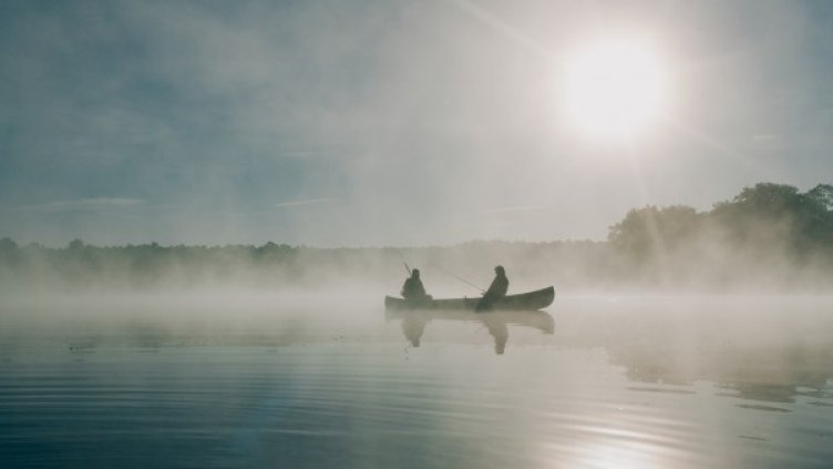 Снимка: Pixabay