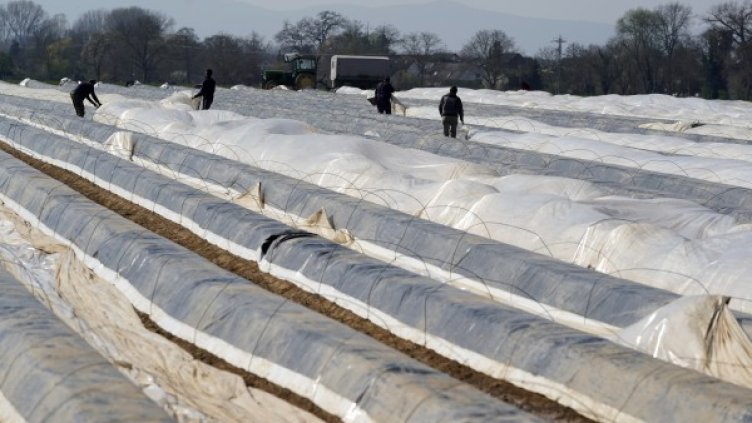 Снимка: архив, БГНЕС