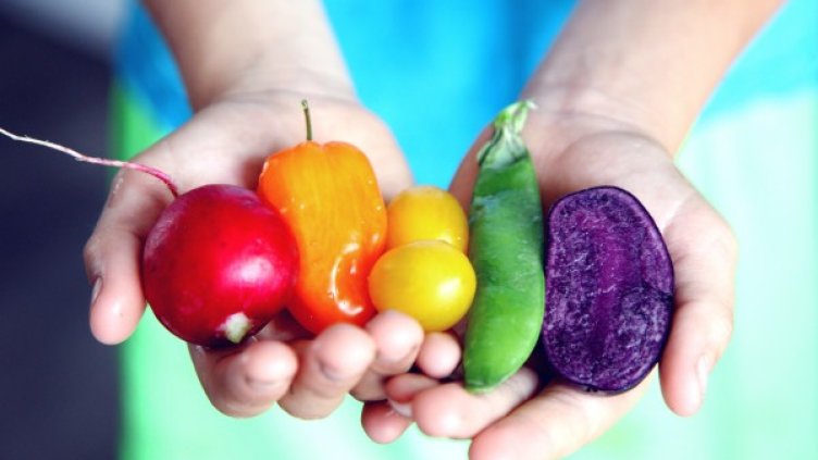 Снимка: Pexels