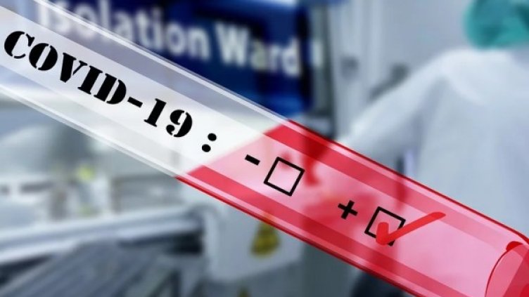 Снимка: Pixabay