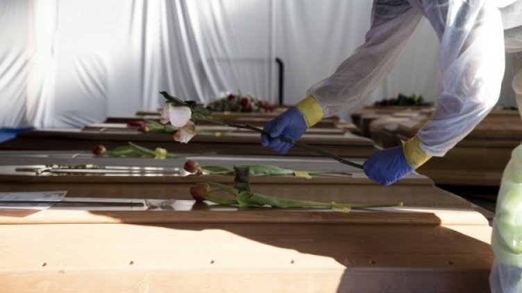 Снимка: архив, БГНЕС