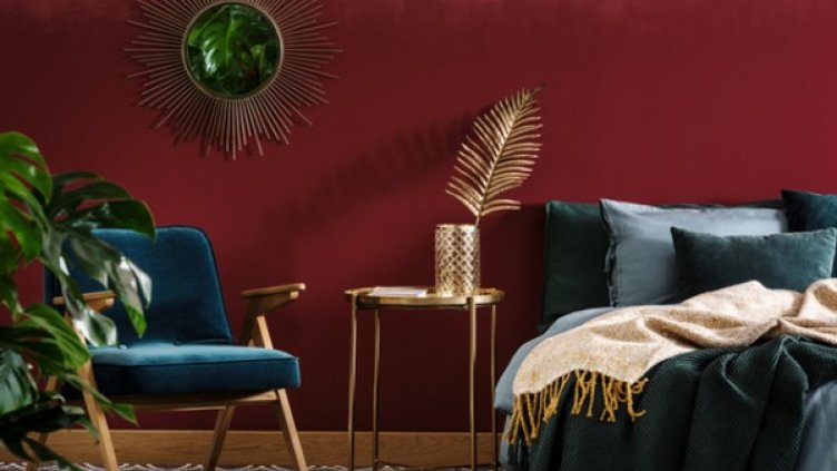 Снимка: Istock