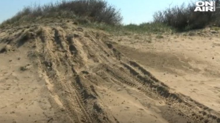 Снимка: Bulgaria ON AIR