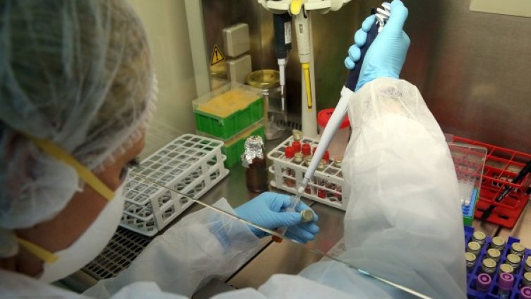 Снимка: БГНЕС