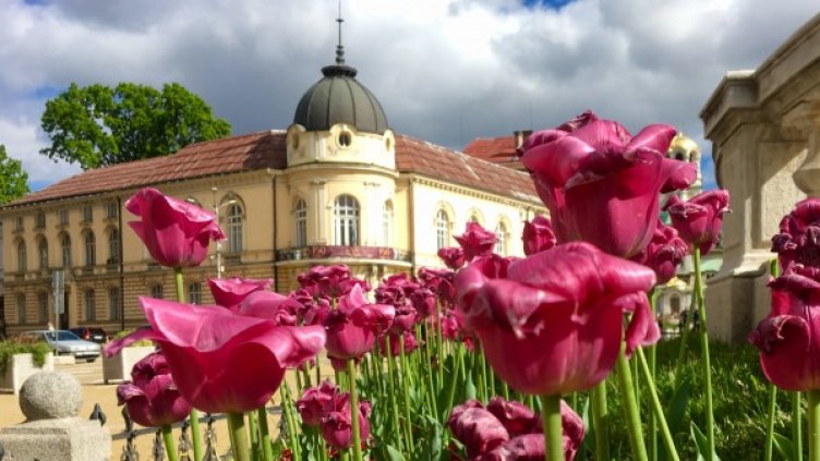 Снимка: БГНЕС